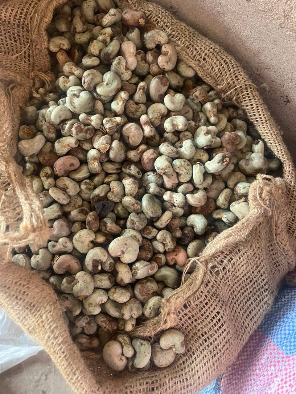 Agricultural Commodity Sourcing